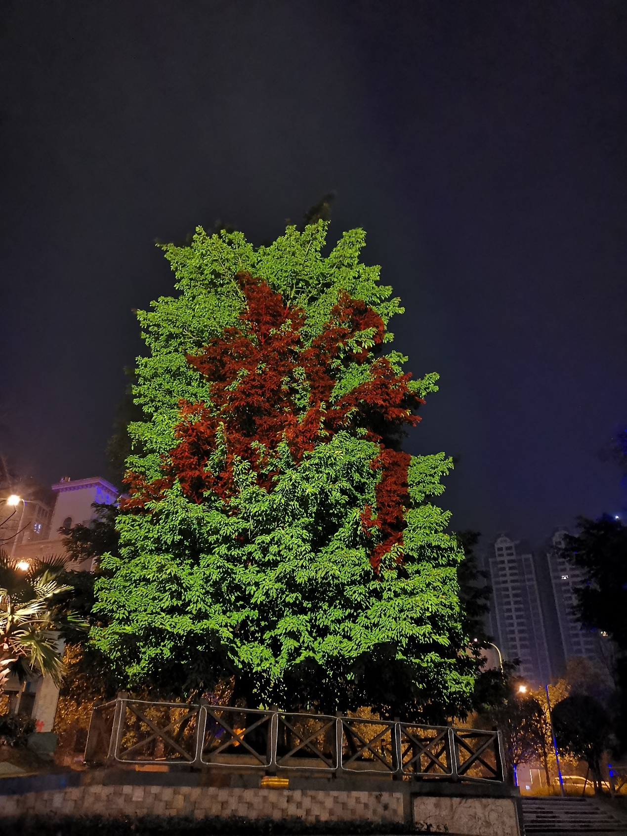 又逢元宵佳节时 NEC英雄打造光影“魔树”扮靓蓉城不夜天-视听圈