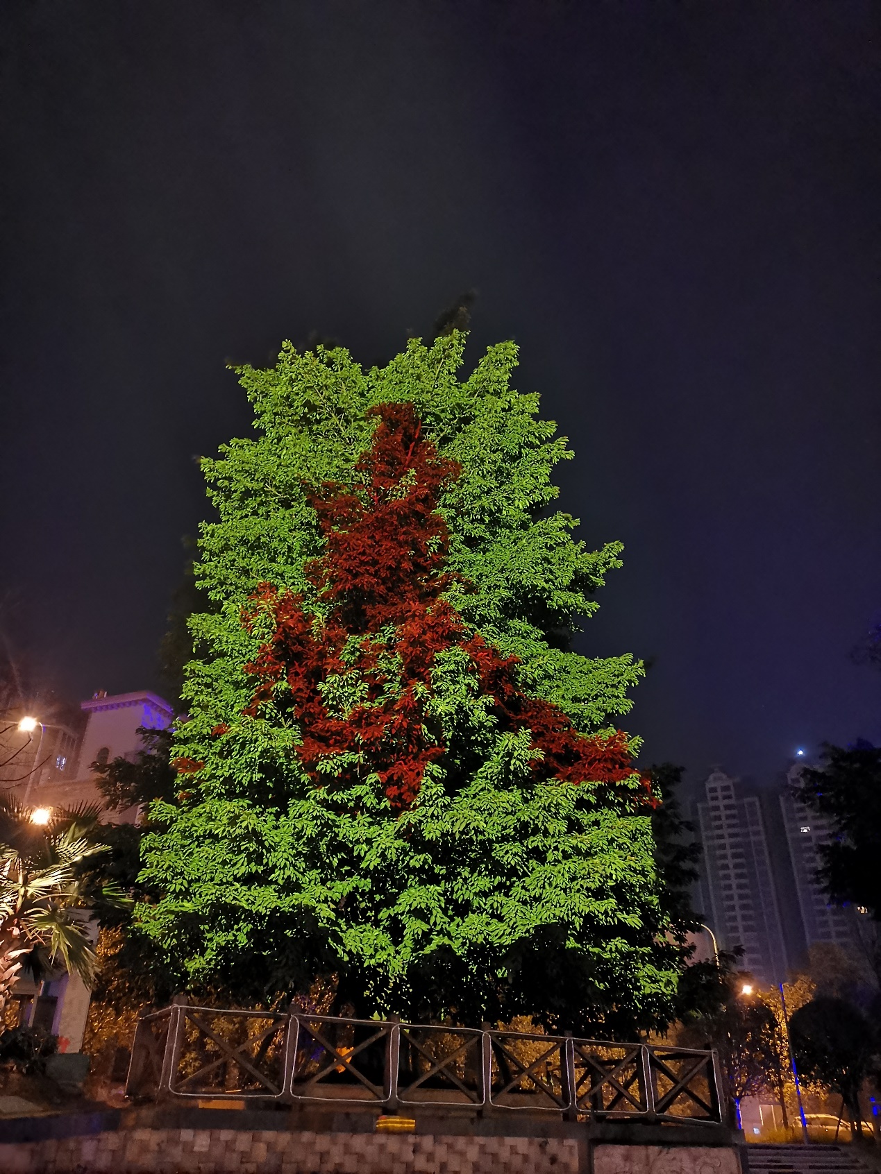 又逢元宵佳节时 NEC英雄打造光影“魔树”扮靓蓉城不夜天-视听圈