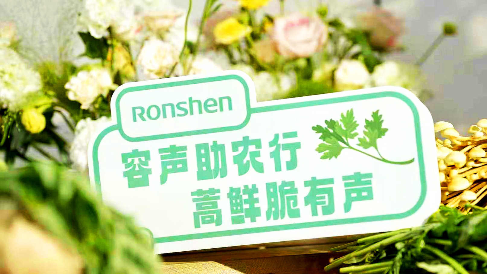 “爨”起生活鲜意 容声冰箱“寻鲜之旅”助力高原菜乡出圈-视听圈