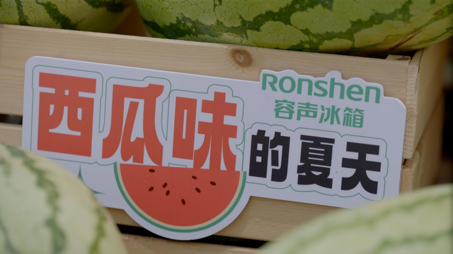 容声冰箱宁夏中卫 “寻鲜记” 让石头缝里的鲜甜走得更远-视听圈