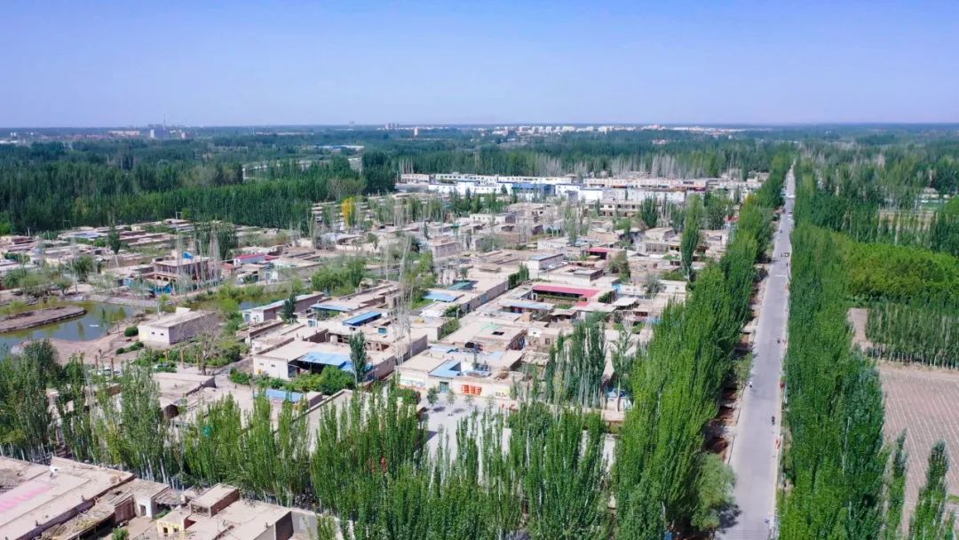 情系深喀一家亲,光峰科技中秋助农走进新疆喀什-视听圈