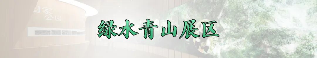 中国馆获大阪世博会大型自建馆展示金奖,馆内展陈有何亮点?-视听圈