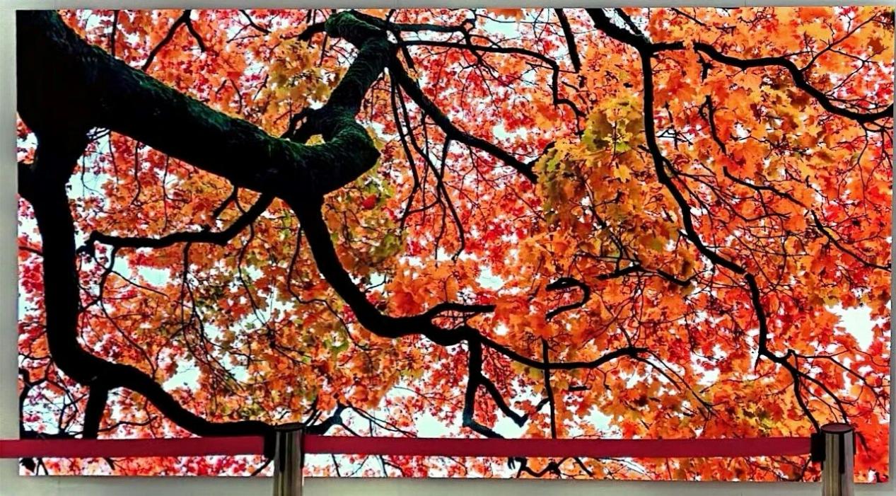 从108吋到135吋：天马又推出激光巨量Micro-LED显示屏-视听圈