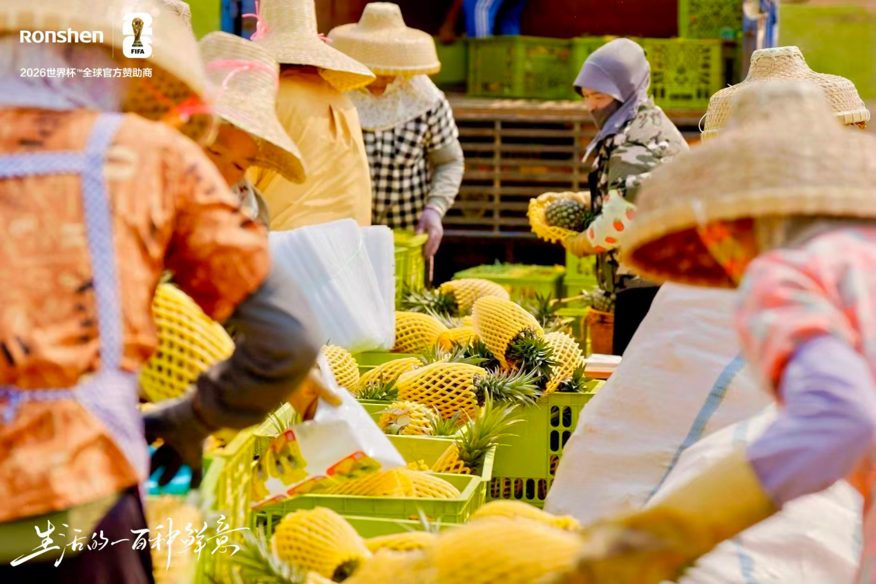 容声冰箱“寻鲜之旅”落地徐闻 携手菠萝产业开启原产地新鲜接力-视听圈