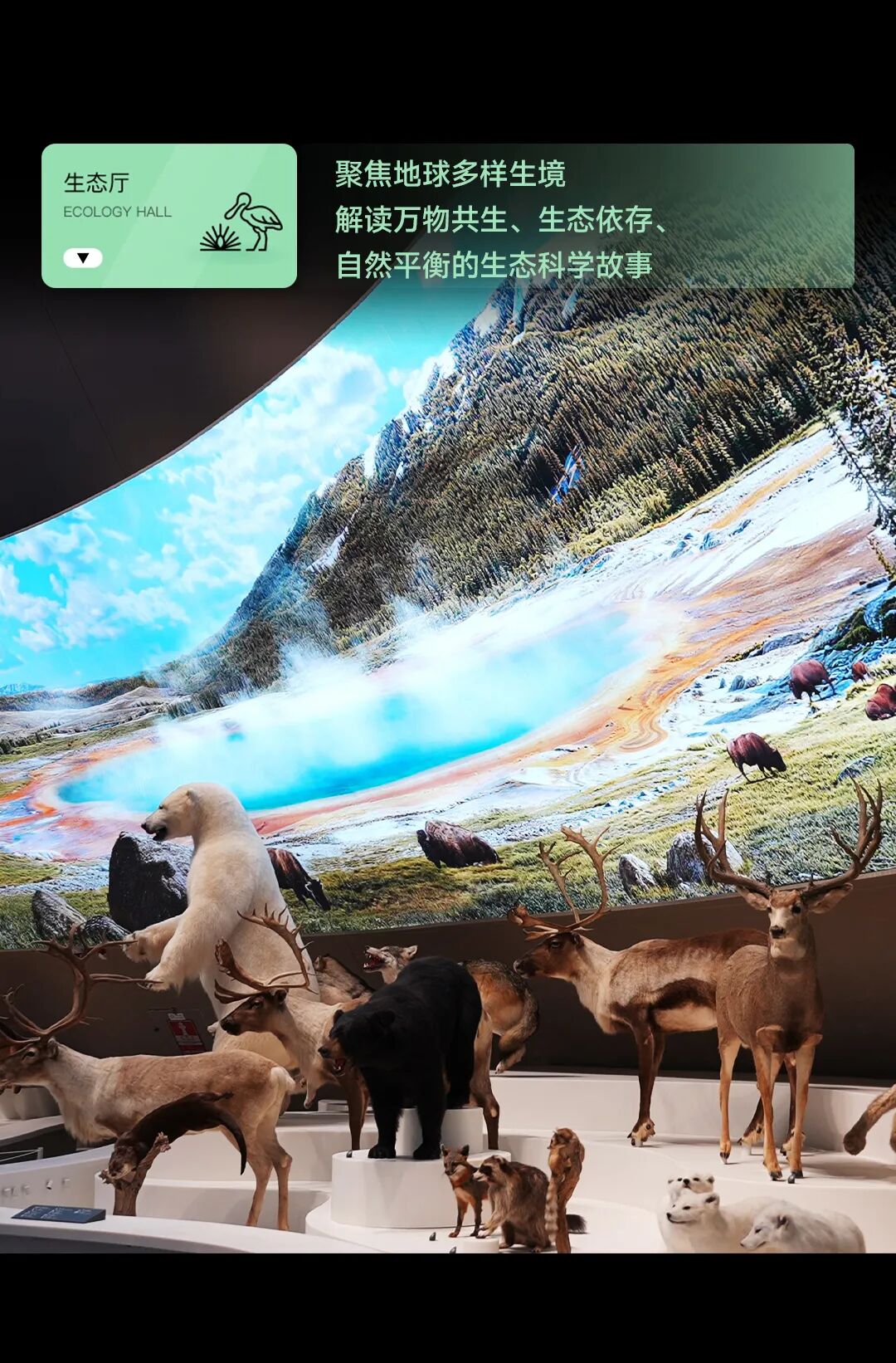标本+数字光影融合，光峰工程投影点亮深圳自然博物馆-视听圈