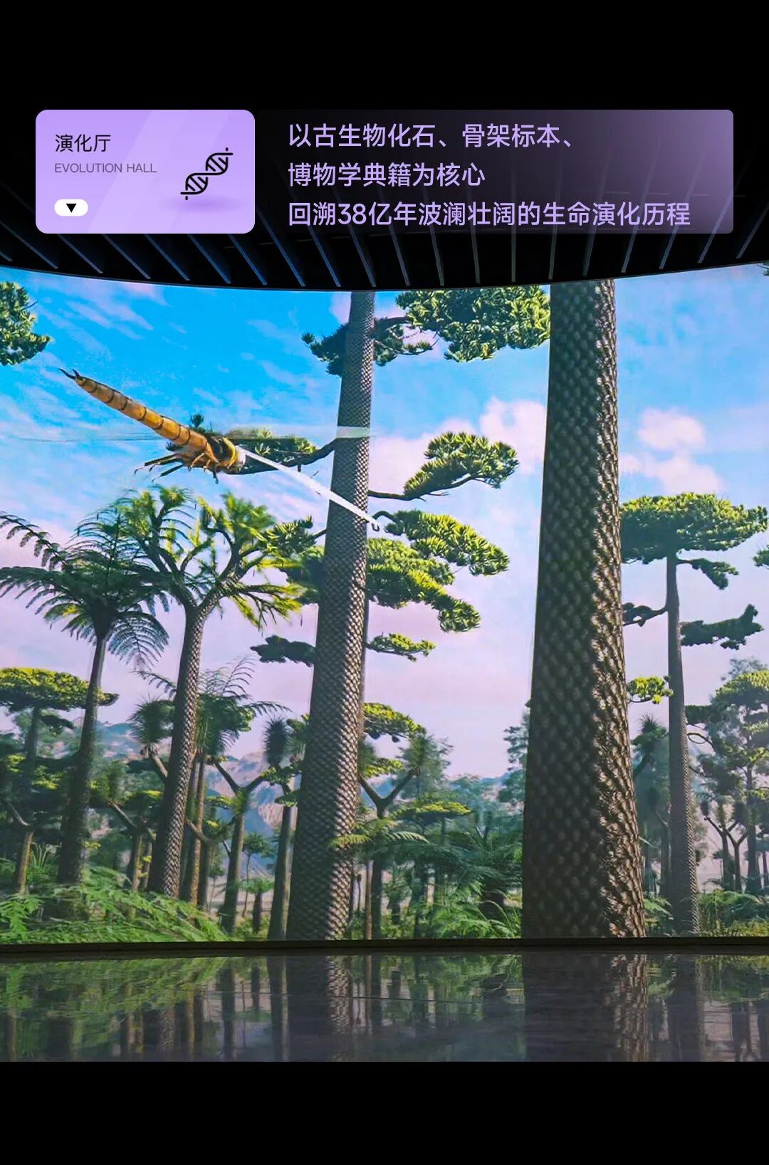 标本+数字光影融合，光峰工程投影点亮深圳自然博物馆-视听圈